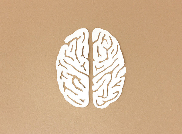 How soluble fiber prevents the brain from aging